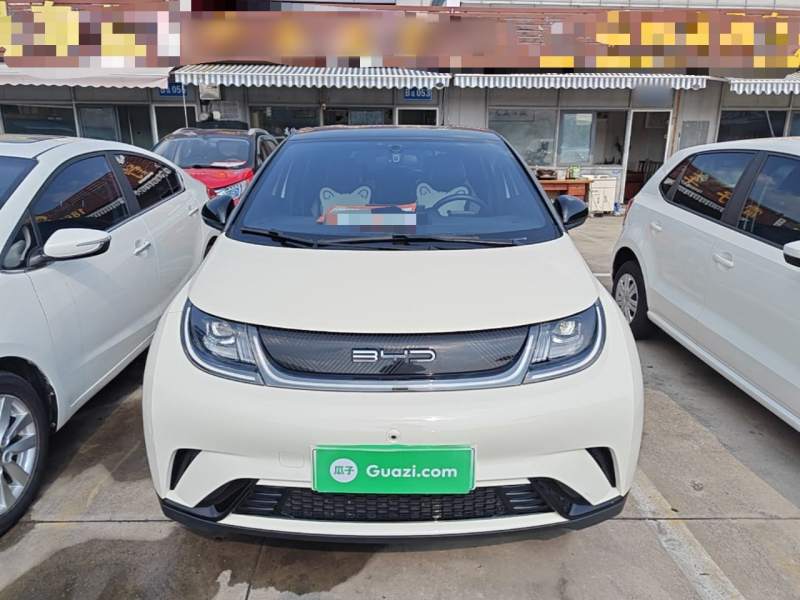 Used BYD Dolphin 2023 420 km Free Version — 2