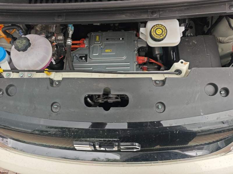 Used BYD Dolphin 2025 420km Free Edition — 19