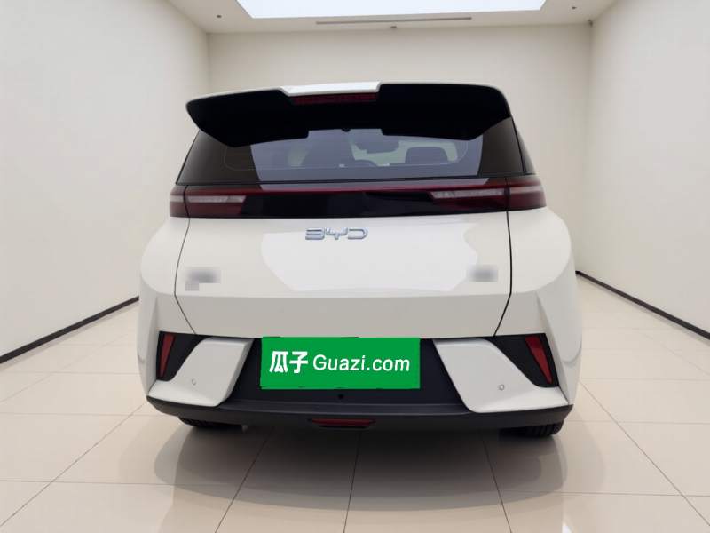 Used BYD Seagull 2025 Intelligent Driving Version 305 km Dynamic Edition — 5