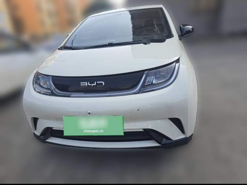 Used BYD Dolphin 2025 420km Free Edition — 12