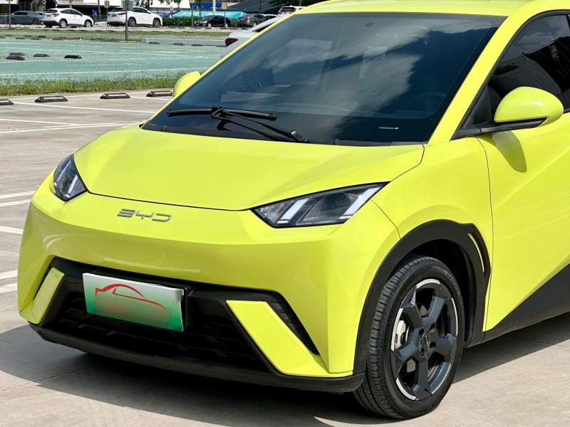 Used BYD Seagull 2023 Flying Edition — 23