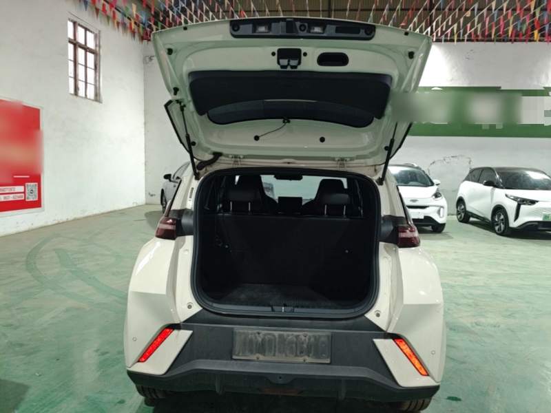 Used BYD Seagull 2023 Free Edition — 18