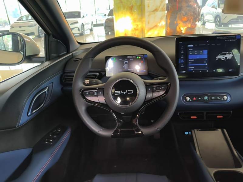 Used BYD Seagull 2025 Intelligent Driving Version 305 km Dynamic Edition — 10