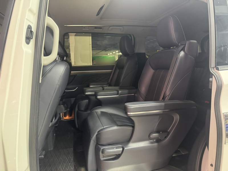 Used GAC Trumpchi M8 2019 320T Ultimate Edition — 13
