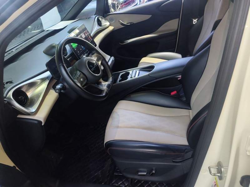 Used BYD Dolphin 2023 420 km Free Version — 14