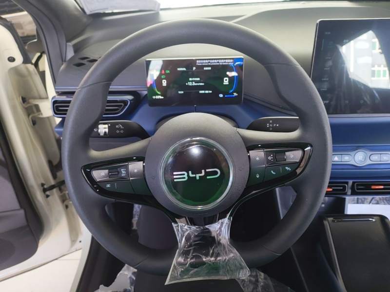 Used BYD Seagull 2025 Intelligent Driving Version 305 km Dynamic Edition — 10