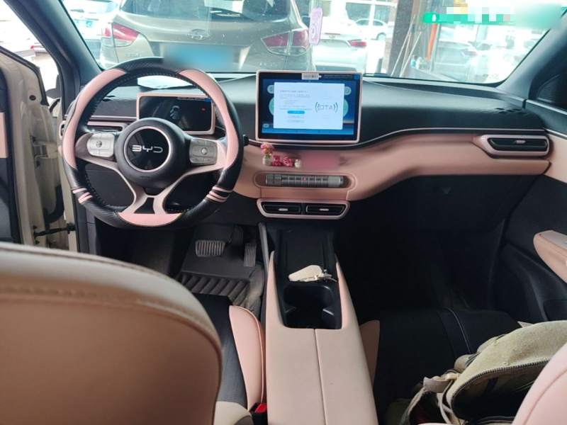 Used BYD Seagull 2025 305 km Free Version — 9