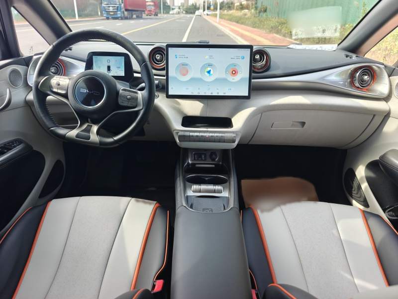 Used BYD Dolphin 2021 405 km Fashion Edition — 38