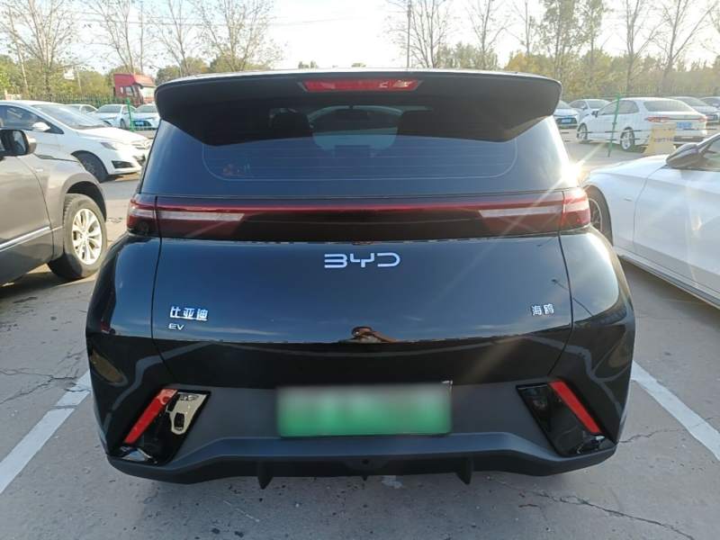Used BYD Seagull 2024 Honor Edition 305km Dynamic Version — 5