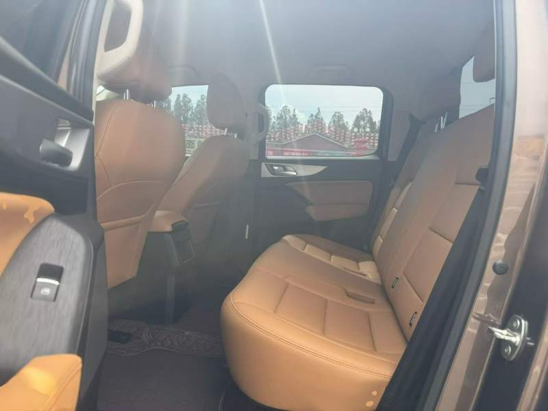 Used Great Wall Poer 2019 2.0T Commercial Version Manual Diesel Two-Wheel Drive Elite Standard Box GW4D20M — 16