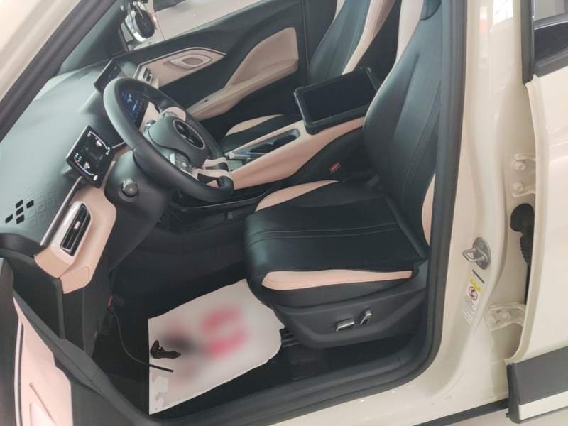 Used BYD Seagull 2023 Flying Edition — 14