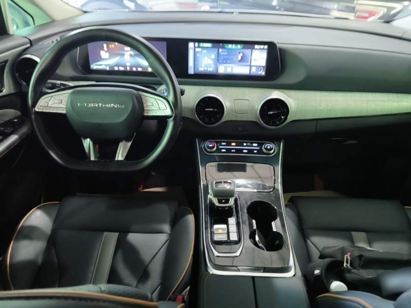 Used FORTHING Yacht 2024 1.5T DCT Guanhai Edition — 9