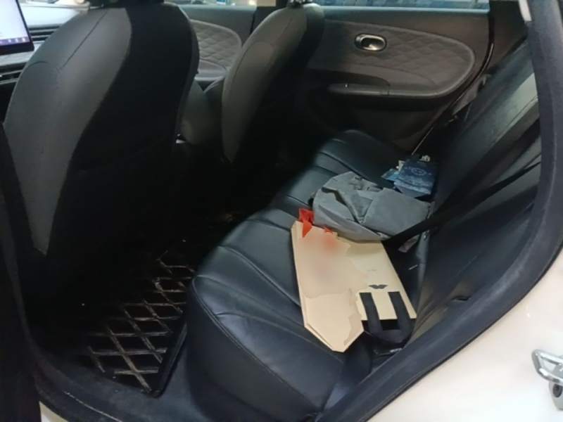Used Dongfeng NAMMI 01 2024 430 Plus Smart+ — 16