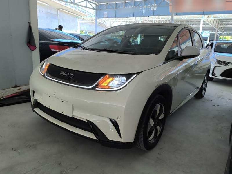 Used BYD Dolphin 2024 Honor Edition 420km Fashion Version