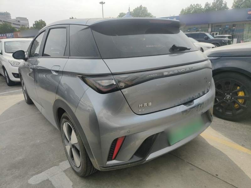 Used BYD Dolphin 2023 420 km Fashion Edition — 4
