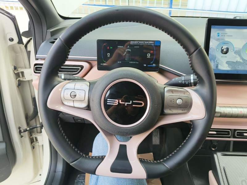 Used BYD Seagull 2024 Honor Edition 305km Freedom Version — 10