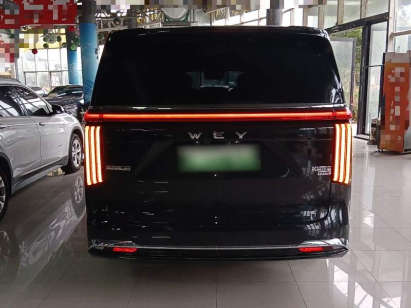 Used Wey Gaoshan 2025 Four-Wheel Drive Alpine 8 — 5