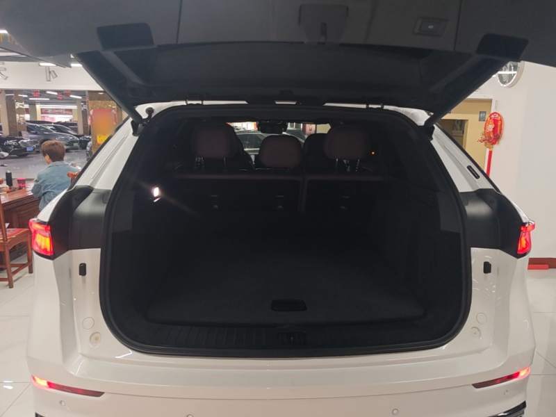 Used Chery Tiggo 9 2025 2.0T Automatic Two-Wheel Drive Luxury Edition 5 Seats — 18