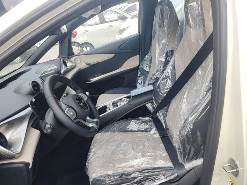 Used BYD Dolphin 2025 420km Free Edition — 14
