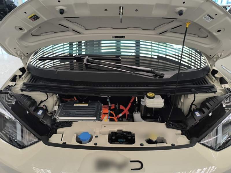 Used BYD Seagull 2025 Intelligent Driving Version 305 km Dynamic Edition — 19
