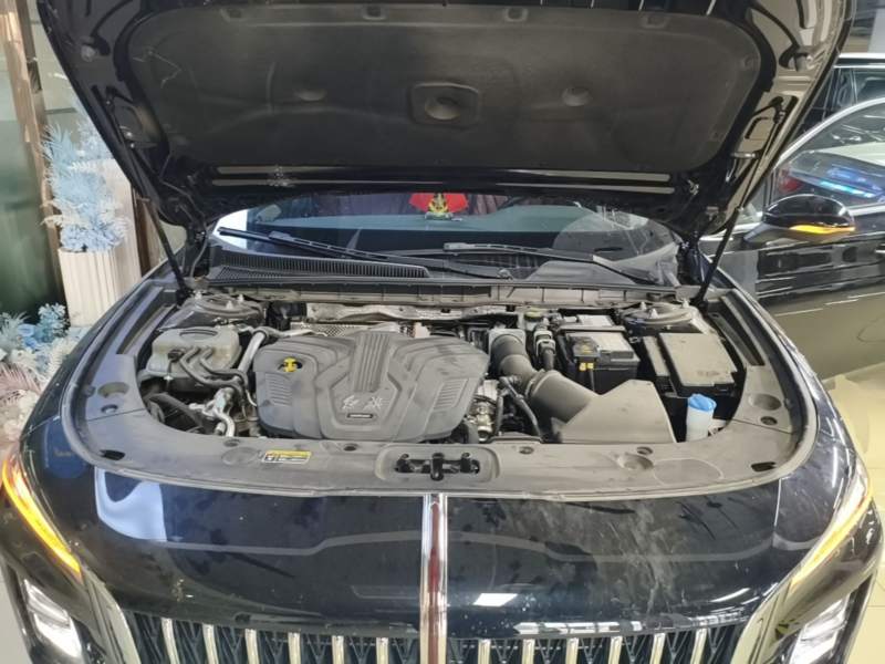 Used Hongqi H5 2025 2.0T Automatic Flag Edition – 500 000 Units Commemorative Version — 19