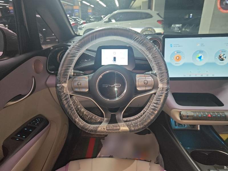 Used BYD Dolphin 2021 405 km Fashion Edition — 10