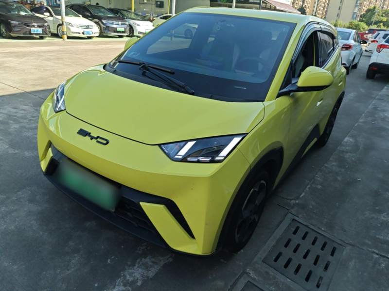 Used BYD Seagull 2023 Free Edition — 1