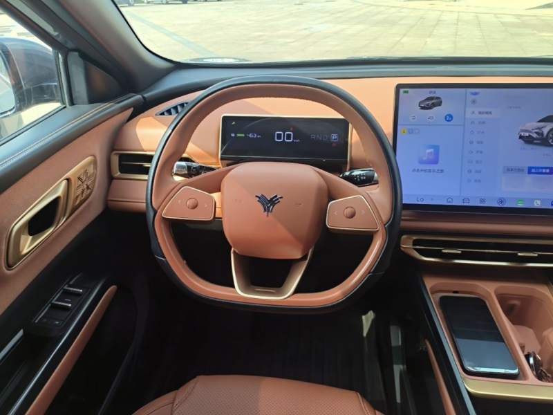 Used NETA X 2023 500 Lite — 10