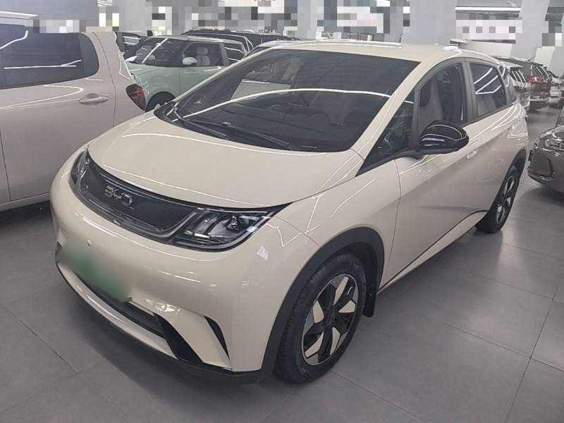 Used BYD Dolphin 2025 420km Free Edition