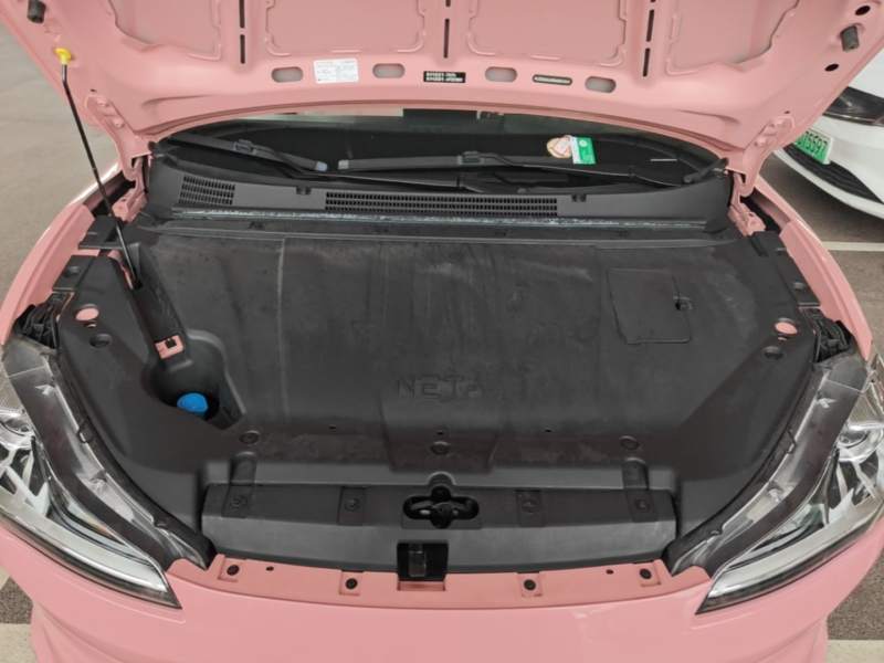 Used NETA V 2021 Witch Edition — 19