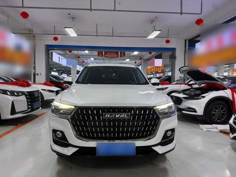 Used Haval H6 2023 National Trend Edition 1.5T Automatic Urban Version — 8