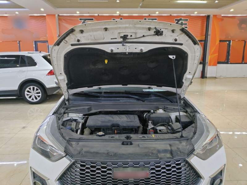 Used Haval H6 Coupe 2018 Red-Label 1.5T Automatic Two-Wheel Drive Ultra-Luxury Model — 19