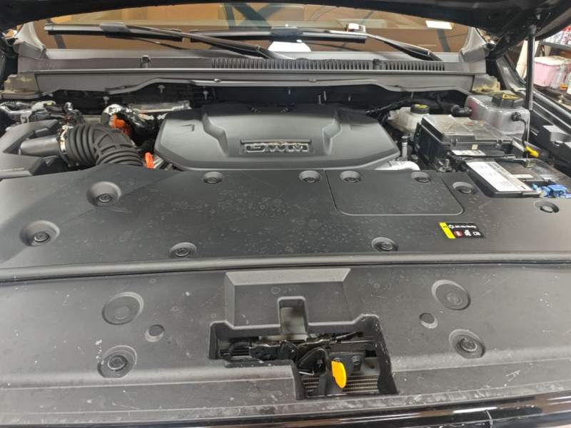 Used Tank 500 New Energy 2024 Hi4-T — 19