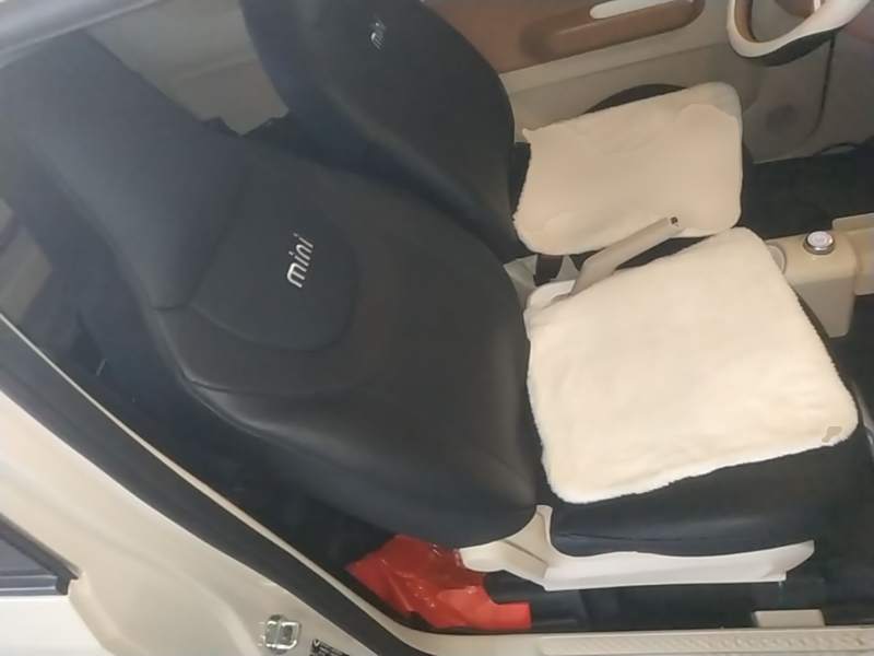 Used Wuling Hongguang MINIEV 2024 3rd Generation 215km Youth Edition — 24