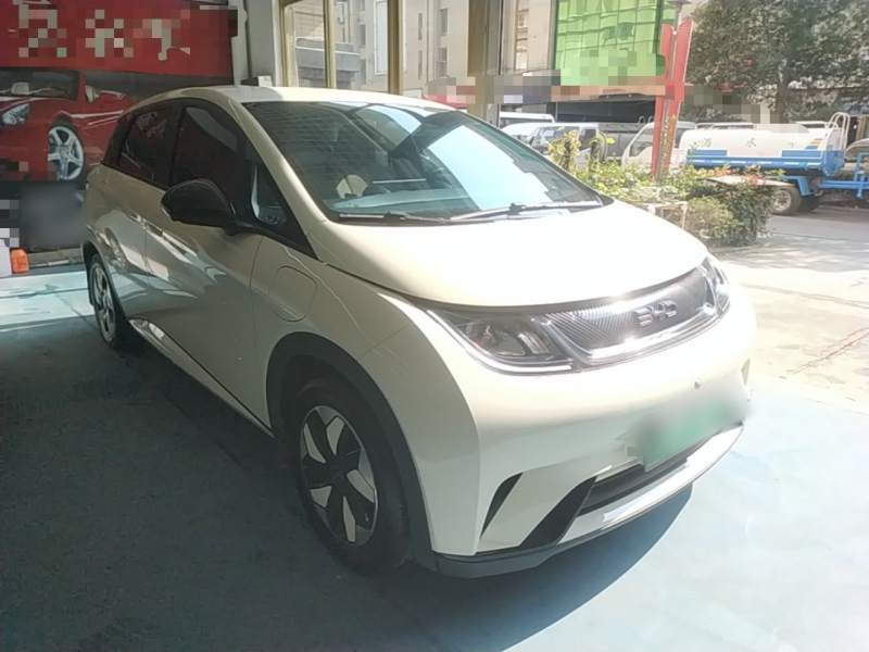 Used BYD Dolphin 2025 420km Free Edition — 3