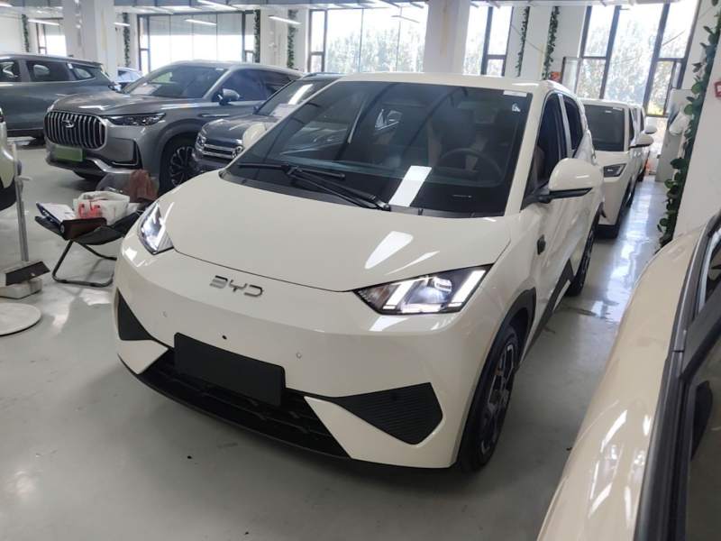 Used BYD Seagull 2025 Smart Drive Version 305 km Freedom Edition