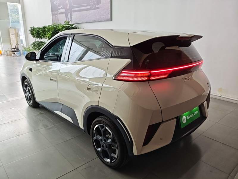 Used BYD Seagull 2025 Smart Drive Version 305 km Freedom Edition — 4