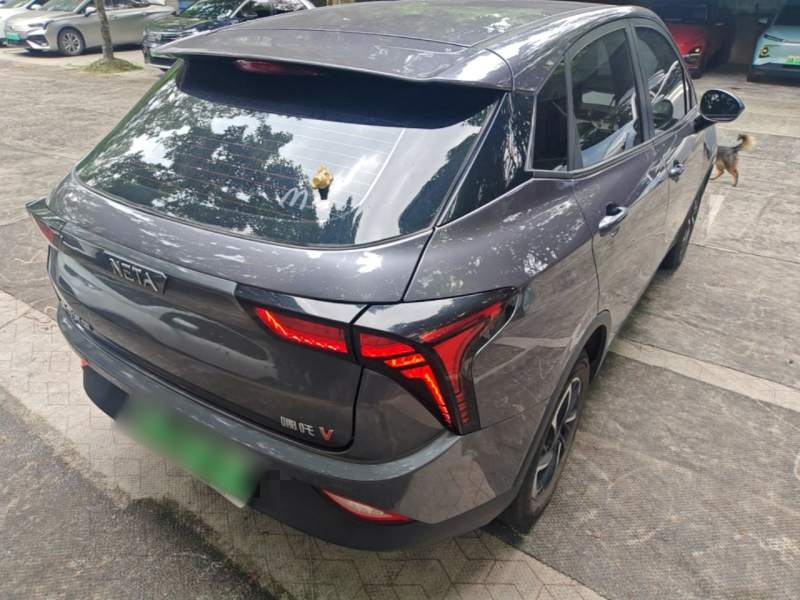 Used NETA V 2021 Long-Range Entertainment Edition Upgrade Model — 6