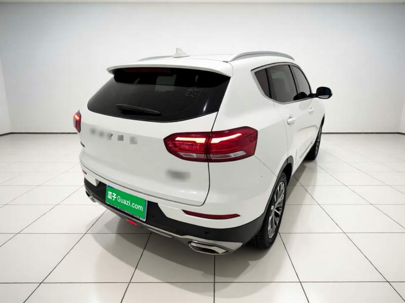 Used Haval H6 2020 2.0 GDIT Automatic Platinum Champion Edition — 6