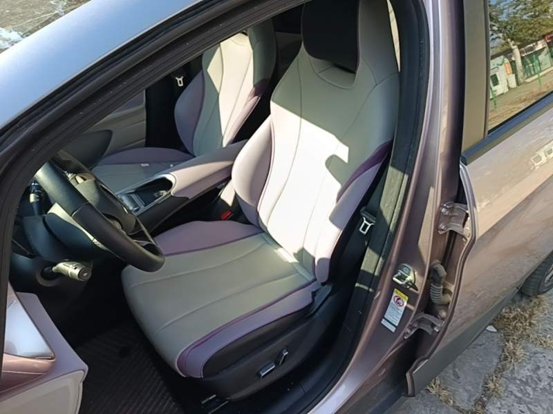Used BYD Dolphin 2021 401km Knight Edition — 14
