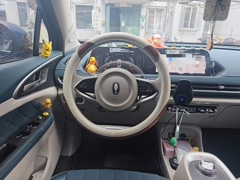 Used ORA Good Cat 2022 Morandi Edition 400km Standard Range Luxury Version Lithium Iron Phosphate — 2