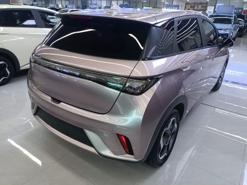 Used BYD Dolphin 2021 405 km Fashion Edition — 6