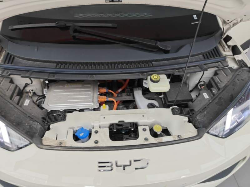 Used BYD Seagull 2025 Smart Drive Version 305 km Freedom Edition — 19