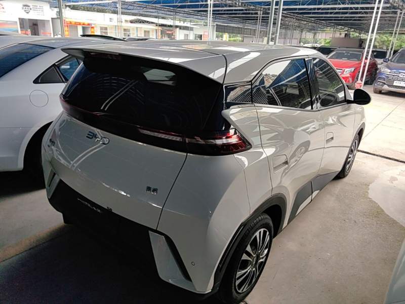 Used BYD Seagull 2025 305 km Free Version — 6