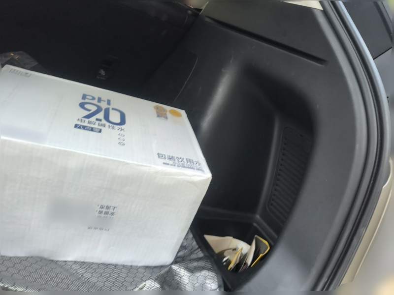 Used AION V 2022 Plus 70 Smart Edition Ternary Lithium — 20