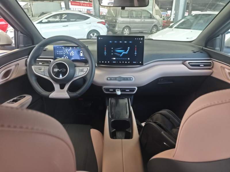 Used BYD Seagull 2025 Smart Drive Version 305 km Freedom Edition — 9