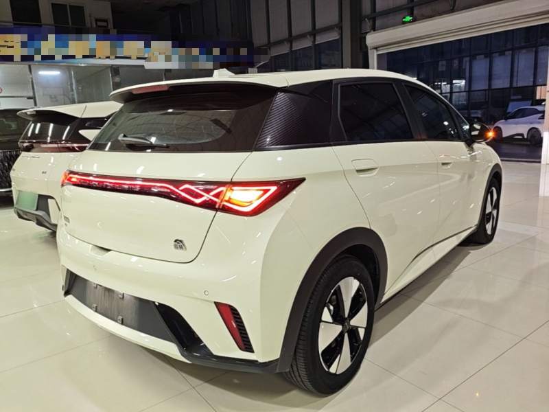 Used BYD Dolphin 2023 420 km Fashion Edition — 6