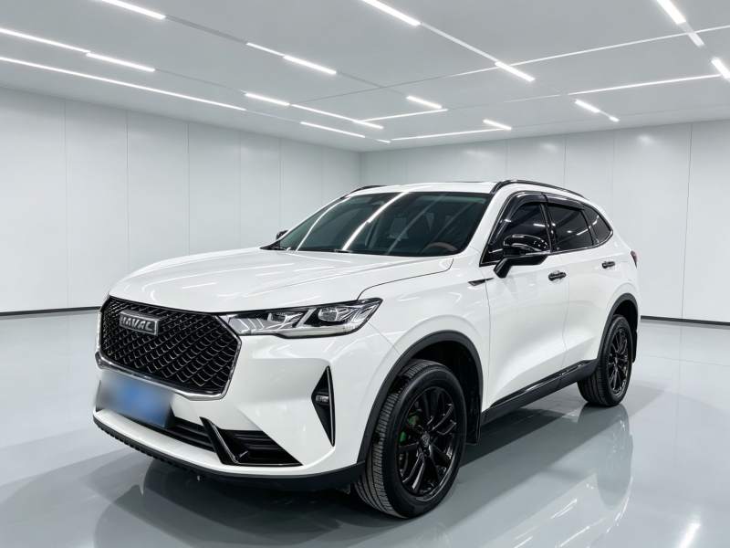Used Haval H6 2021 3rd Generation 1.5T Automatic Two-Wheel Drive Max — 30