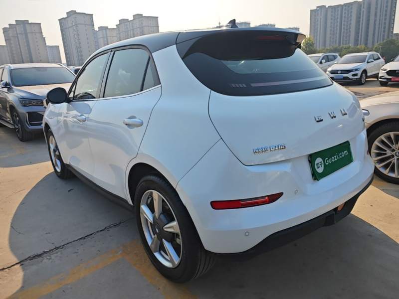 Used ORA Good Cat 2025 Model, 430 km Luxury Version — 4
