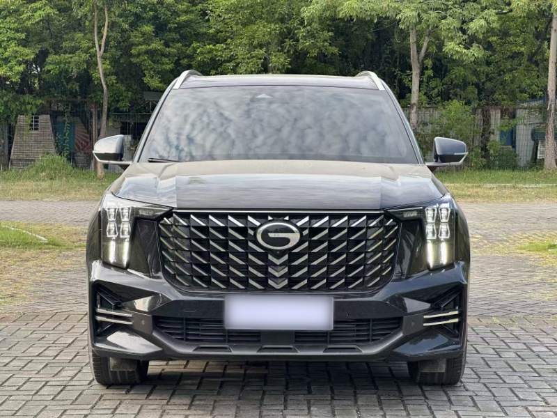 Used GAC Trumpchi GS8 2025 Linghang Series 2.0 TGDI Two-Wheel-Drive Luxury Edition 5 Seats — 29